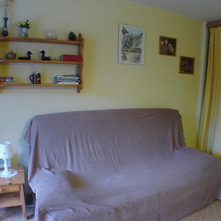 Studio Cosy Au Centre De Samoens Avec Parking Privatif - Fr-1-629-118 מראה חיצוני תמונה